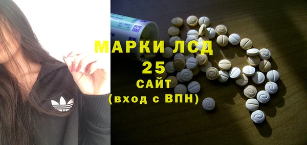 гашик Белокуриха