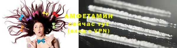 гашик Белокуриха