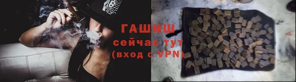 гашик Белокуриха
