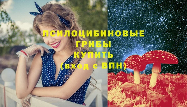 гашик Белокуриха