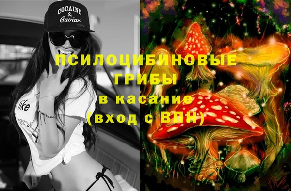 гашик Белокуриха