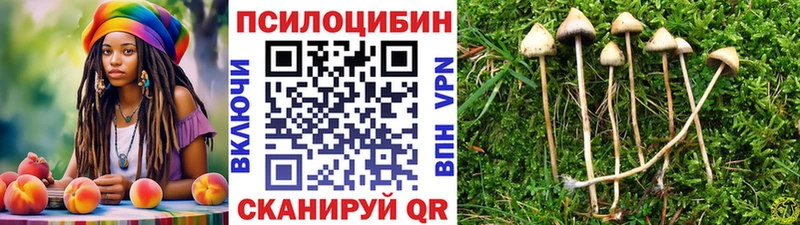 Псилоцибиновые грибы Cubensis Кочубеевское